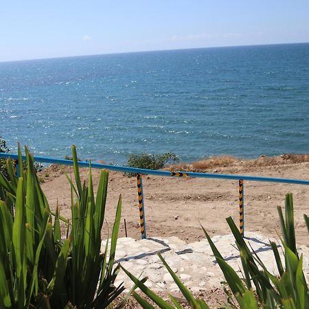 Summer Dream Cyprus Maroni Exteriör bild